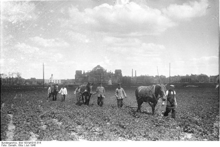 Bundesarchiv_Bild_183-M1015-314-_Berlin-_baumloser_Tiergarten-1