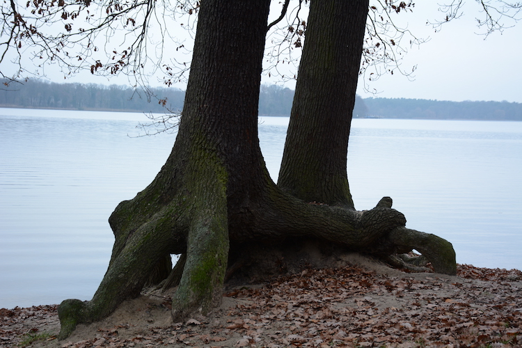 friends-at-Tegelsee-1