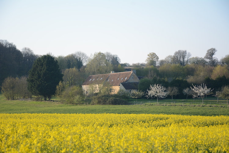 house-through-colza