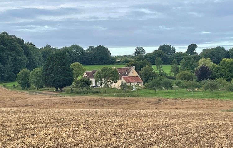 house renovation French country life