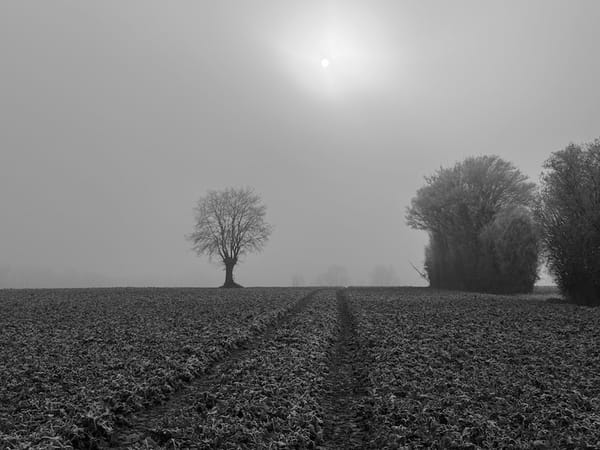 A Tale of Two Worlds